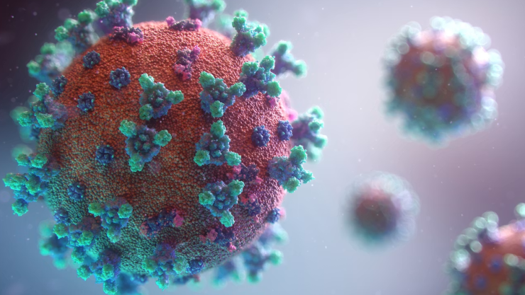 Confirman dos muertes por ciclosporiasis en EU; esto se sabe de la enfermedad intestinal
