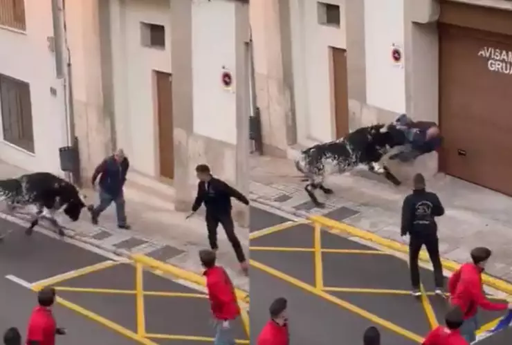 Toro embiste brutalmente a un abuelito en pleno festival