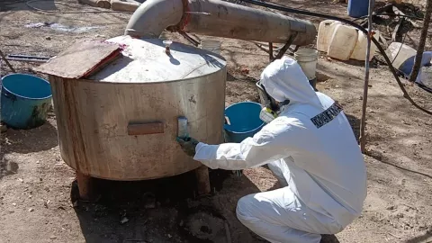 Desmantelan laboratorios clandestinos en tres estados: Omar García Harfuch