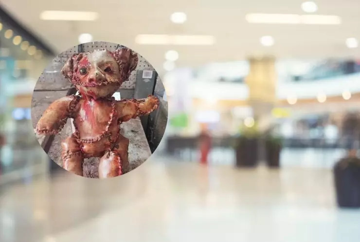 Todo sobre el oso con piel humana en Estados Unidos