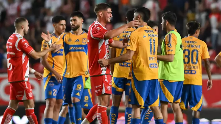 Tigres vs Necaxa en vivo Clausura 2025 Liga BBVA MX