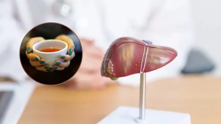 ¿Qué tomar para limpiar tu hígado y digerir mejor las grasas?