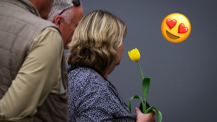 &iquest;Qu&eacute; significa regalar tulipanes? Aqu&iacute; la respuesta.jpg