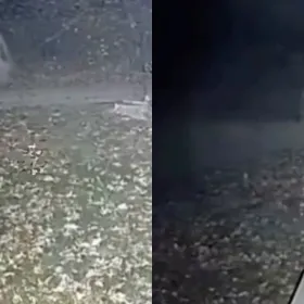 Cámara de seguridad capta a entidad sin cabeza caminando en jardín | VIDEO