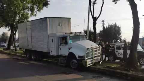 TORTON CONTRA ÁRBOL.jpeg