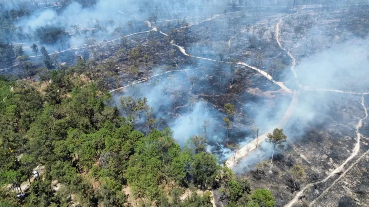 Incendio del Bosque El Centinela activa Alerta Atmosférica: Lista de colonias afectadas por el humo