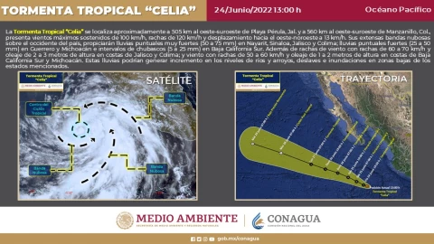 trayectoría-tormenta-tropical-celia-huracán.jpg