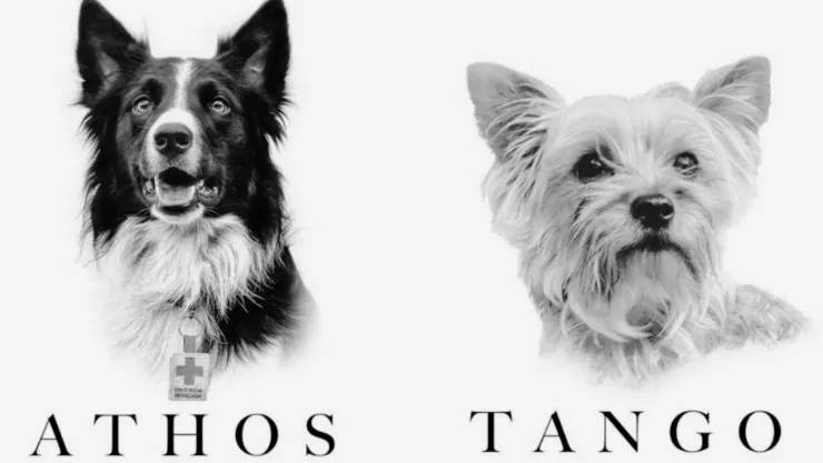 Athos y Tango: primer juicio por maltrato animal en México tras su muerte por envenenamiento