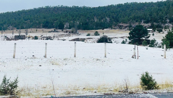 granizada Bocoyna.jpg