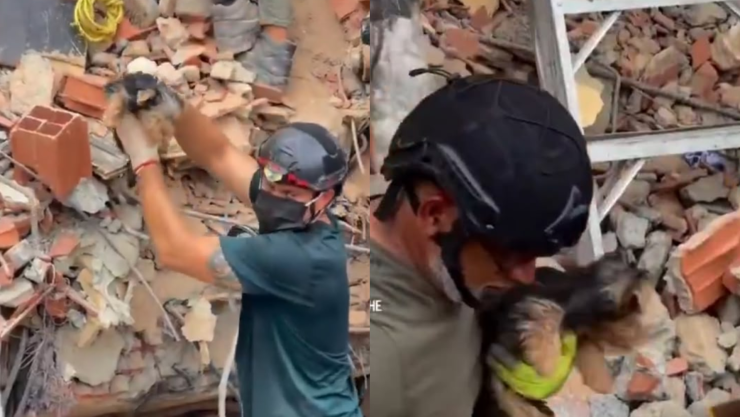 Rescatan perro en Venezuela 10 días después