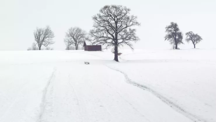 Tormenta invernal en California