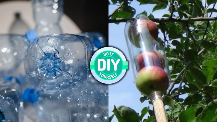 /estilo-de-vida/botellas-de-plastico-reutilizarlas-recolector-frutas-casero