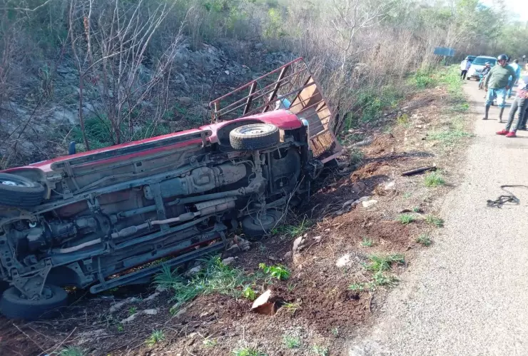 Vuelca camioneta que transportaba ganado