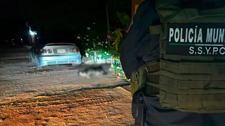 Hombre ataca a balazos a tres perros y mata a uno en Valle del Carrizo, Ahome