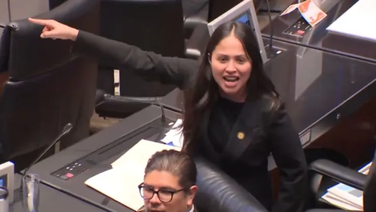 Diputada de Morena