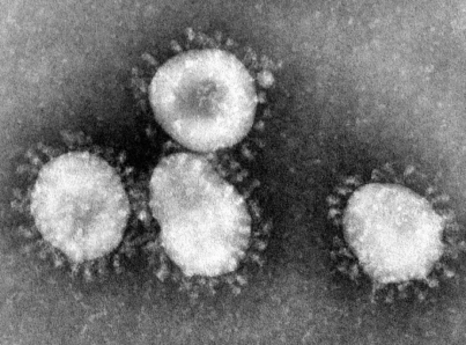 China coronavirus