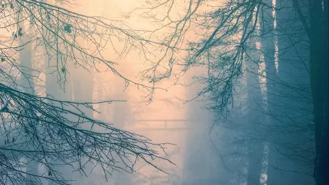 Clima en Morelos hoy