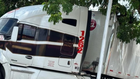 Tráiler queda ATRAPADO bajo un árbol y causa caos vial en la colonia Nueva Chichén Itzá