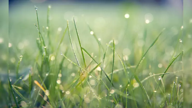 Clima en Morelos hoy