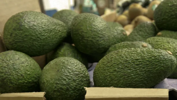 Foto tomada el 17 de enero del 2007 de aguacates en un mercado de Mountain View, California. Imagen, AP.