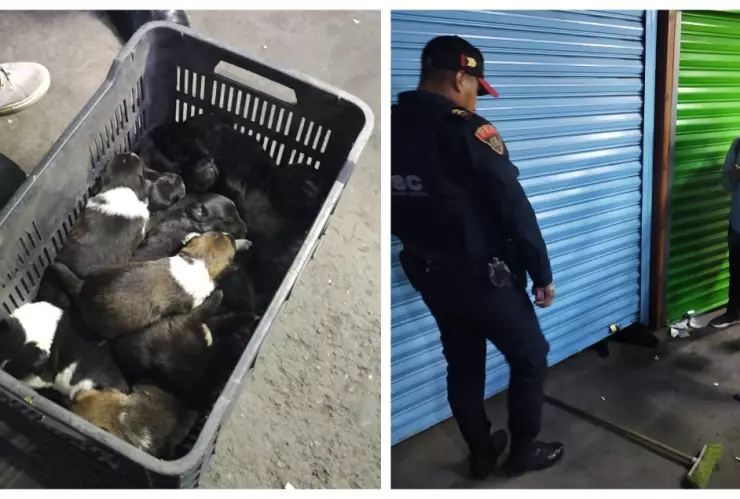 ¡Indignante! Perritos son rescatados en la Cetram Santa Martha; estaban encerrados en un puesto