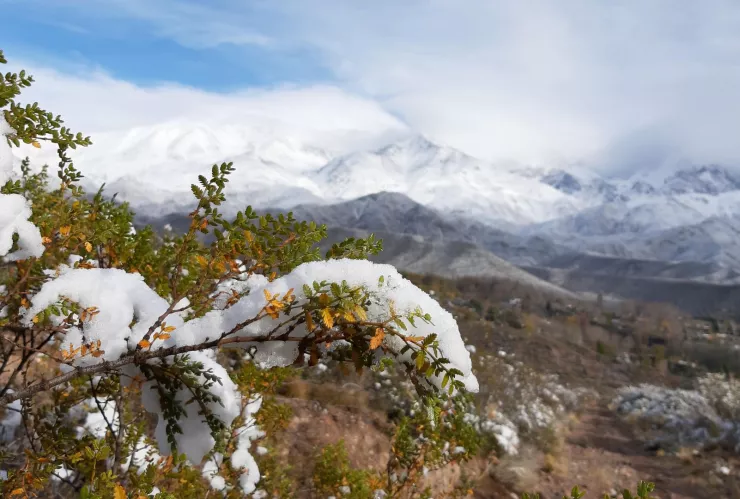 Nieve en Zacatecas ¿Qué dice el pronóstico para la semana del 11 al 17 de enero 2026