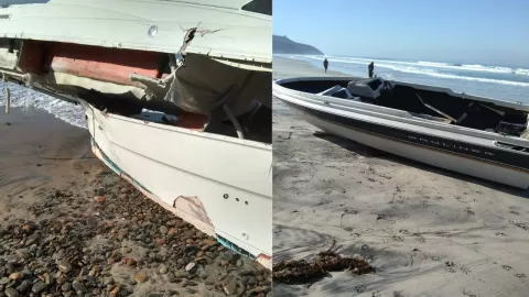 Hallan animales muertos en Playas de Tijuana hoy martes 25 de febrero de 2025