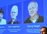 Karl Deisseroth, Peter Hegemann y Georg Nagel, Nobel de Medicina de 2026.