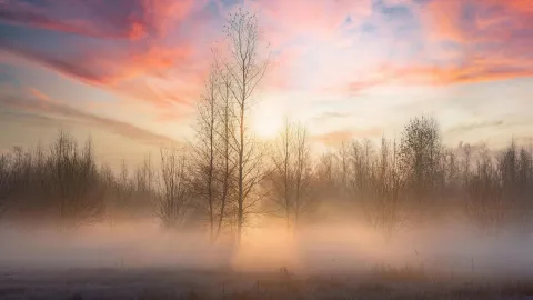 Frente Frío 32 en México ¿Cuáles estados tendrán temperaturas bajo cero y lluvia en febrero 2026