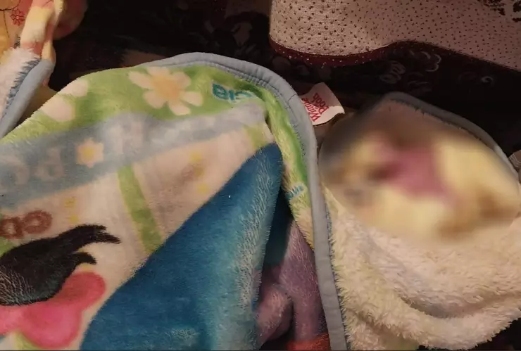 mujer da a luz en su casa tepatlaxco