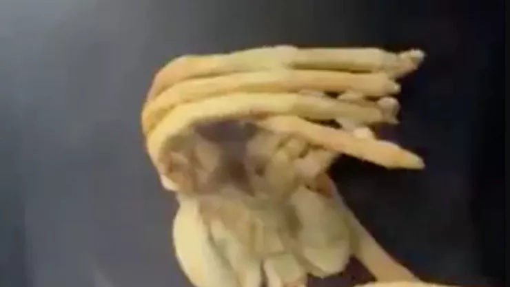 Aliens, SpaceX, video a.jpg