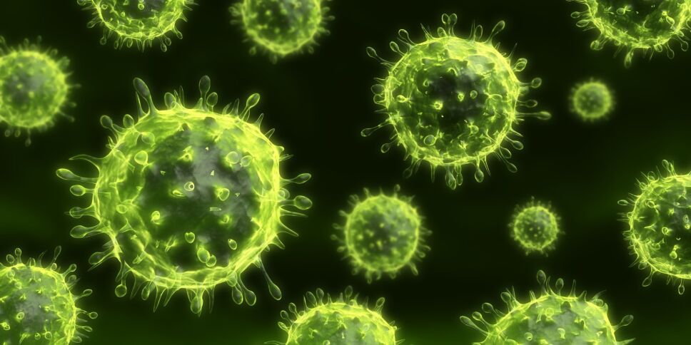 VIRUS