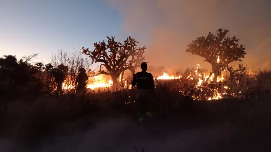 Incendios en Aguascalientes ¿Cuáles son los números oficiales para reportar un siniestro