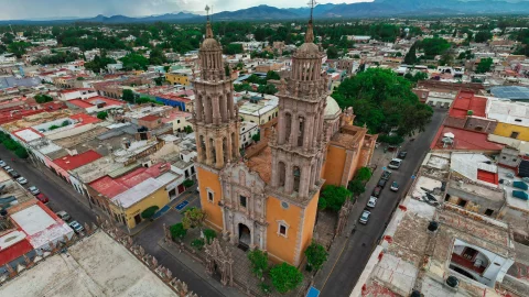 Consumir alcohol sin que te arresten