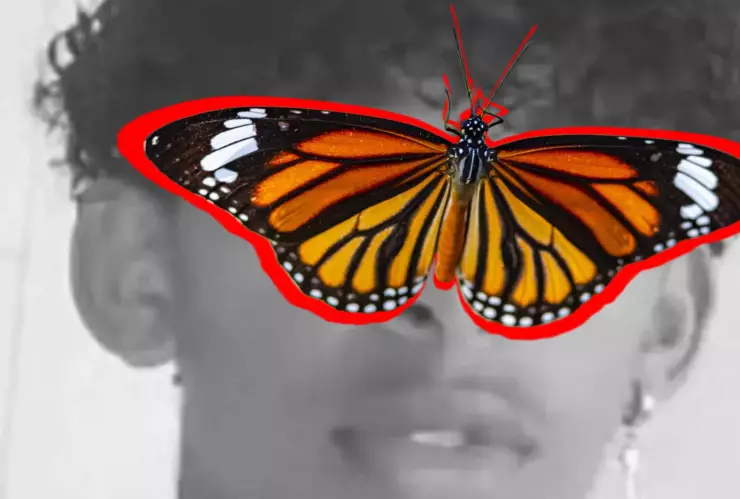 Niño muere en Brasil después de inyectarse una mariposa muerta por un reto viral.jpg