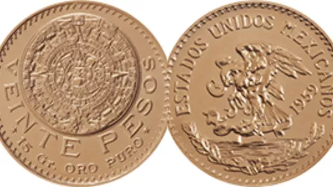moneda 20 pesos.jpg