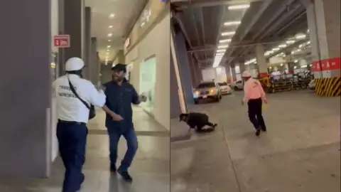 Transito de Boca del Rio.jpg