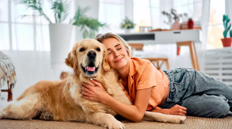 perros humanos