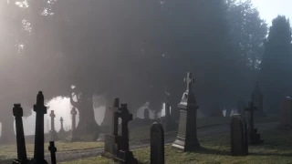 Video: Hombre destruye 50 lápidas en cementerio de California