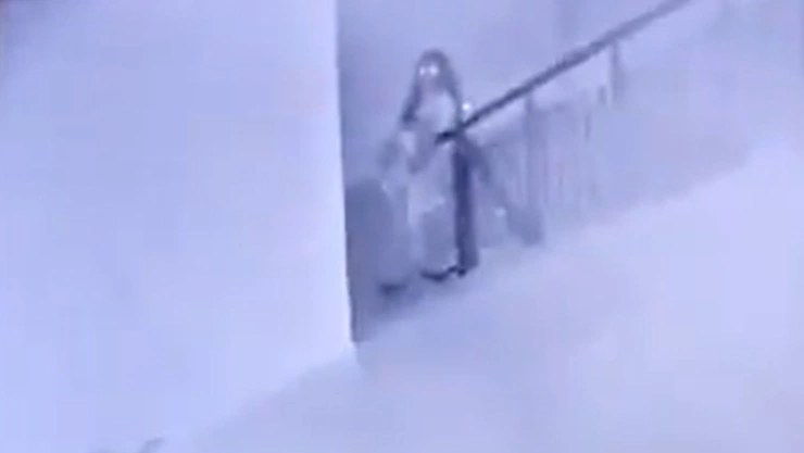 Niña fantasma en juguerería de México.jpg