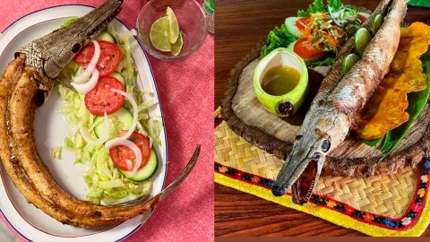 Gastronomía de Tabasco: Los platillos típicos tabasqueños ¡Pejelagarto asado y muchos más!