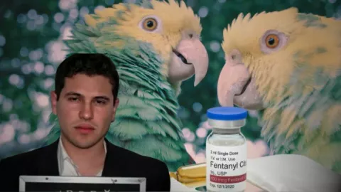 Con animales exóticos, cárteles mexicanos pagan el fentanilo a China para evadir a EU