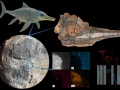 Reconstrucción ictiosaurio