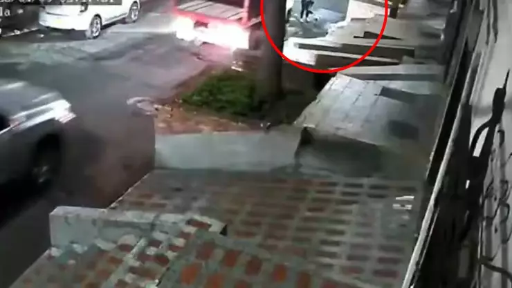 mujer y perro atropellados