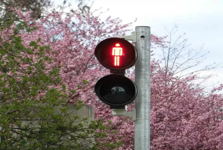 semáforos inteligentes Puebla