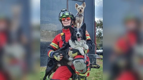 fiscalia_de_queretaro_athos_y_tango