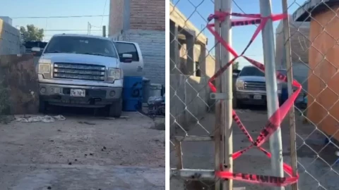 Ciudad Juárez 118 perros muertos