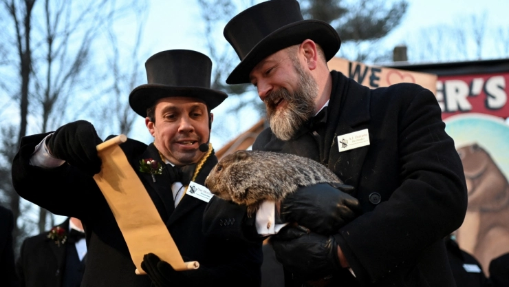 Día de la marmota en Estados Unidos