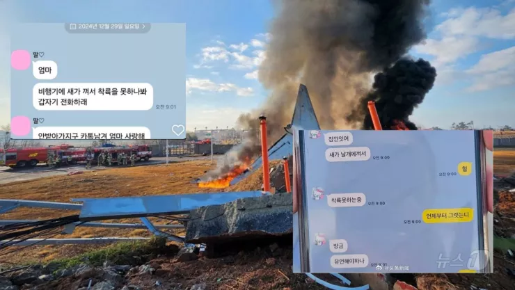 Los mensajes que enviaron los pasajeros minutos antes del accidente de avión en Corea del Sur
