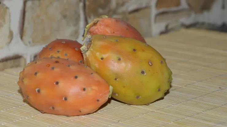 /cuerpo-y-cuidado/que-es-xoconostle-beneficios-salud-fruta-mexicana